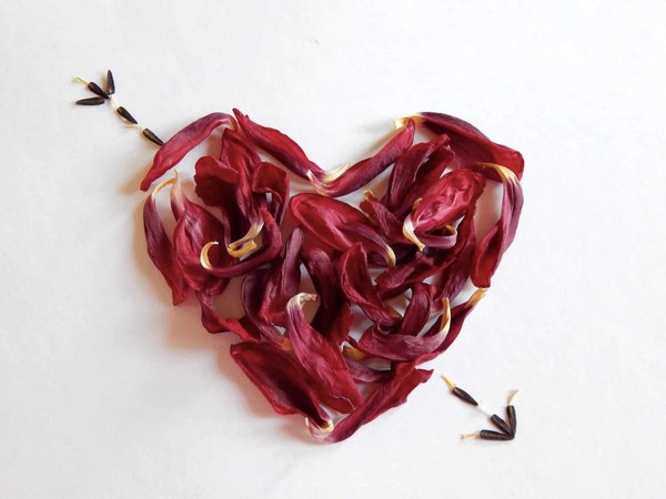 Qui aime la France ?